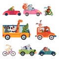 Animal transport. Fun cartoon car, cute drivers traveling. Funny bear giraffe fox driving bus, taxi truck. Childhood zoo Royalty Free Stock Photo