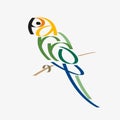 Animal typography, animal calligraphy, animal logo, animal logotype. Parrot typography, parrot calligraphy, parrot logo.