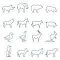 Animal vector icons.Elements for print, mobile and web applications