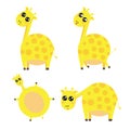 Cute Fat Giraffe Like Balloon Royalty Free Stock Photo