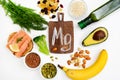 Animal and vegetable sources of magnesium. The concept of a balanced diet. Top view, white background Royalty Free Stock Photo