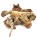 Animal vertebral bones isolated on white background. leftover food close-up