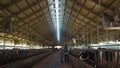 Animal vets checking cows at dairy farm shed. Agribusiness professionals at work Royalty Free Stock Photo