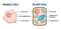 Animal vs plant cell structure comparison with differences outline diagram Royalty Free Stock Photo