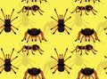 Columbian Giant Redleg Tarantula Cartoon Vector Seamless Background Wallpaper-01 Royalty Free Stock Photo