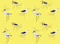 Bird Avocet Cute Cartoon Poses Seamless Wallpaper Background