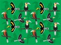 Bird Hornbill Various Seamless Wallpaper Background