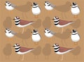 Bird Plover Character Seamless Wallpaper Background