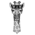 Animal wearing aviator helmet with glasses. Vector picture. Camelopard, giraffe Hand drawn image for tattoo, emblem Royalty Free Stock Photo