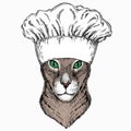 Oriental cat. Chef cook hat. Restaurant logo.