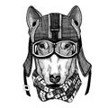 Dog Hipster animal wearing motorycle helmet. Image for kindergarten children clothing, kids. T-shirt, tattoo, emblem