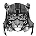 Tiger, wild cat Hipster animal wearing motorycle helmet. Image for kindergarten children clothing, kids. T-shirt, tattoo
