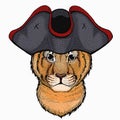 Vector portait of small baby lion head. Animal wearing pirate headdress. Sailor portrait.