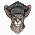 Oriental cat. Square academic cap, graduate cap, cap, mortarboard. Royalty Free Stock Photo