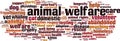Animal welfare word cloud