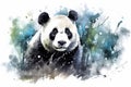 Wild bear panda mammal black animal bamboo fur background cute white wildlife nature Royalty Free Stock Photo