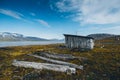 Animal home wild spitsbergen svalbard arctic moutain