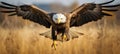 Animal wildlife photography - Bald eagle (haliaeetus leucocephalus) with wings flying wide open, AI