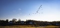 Migrating Geese Flying over the Seaside Village over the Marshland Royalty Free Stock Photo