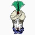 Dog portrait, bullterrier portrait, bullterrier head, dog head. Animal and wizard hat. Sorcerer and magican