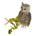 Animal world icon isometric vector. Eagle owl near tree python on branch icon