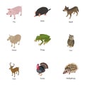 Animal of the world icons set, isometric style Royalty Free Stock Photo