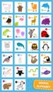 Animal zoo abc alphabet. Cute cartoon set. Baby children education. Alpaca llama bear dolphin camel eagle flamingo giraffe iguana Royalty Free Stock Photo