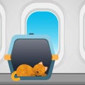 Cat in a carrier bag inside a plane Royalty Free Stock Photo