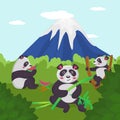 Animale near mountain, nature wildlife park, vector illustration. Panda bear character eat bamboo asian tree in china