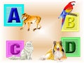 Animals ABCD Royalty Free Stock Photo