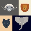 Animals of Africa. Big Five heads. Vector illustration of a flat
