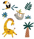 African animals collection. Cute cartoon animals, giraffe, sloth and toucan. Jungle and safari.