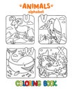 Animals alphabet or ABC. Coloring book