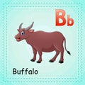 Animals alphabet: B is for Buffalo