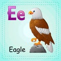 Animals alphabet: E is for Eagle