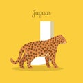 Animals Alphabet. Letter - J