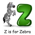 Animals alphabet: Z is for Zebra