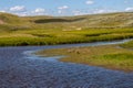 Animals ambling leisurely through a grassy meadow bordering a tranquil river