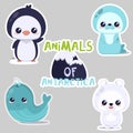 Animals of antarctica kawai illustration