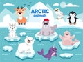 Animals of the Arctic. Bear, deer, owl, narwhal, penguin, walrus, wolf, seal.