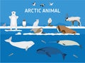 Animals of the Arctic. Flat style illustration