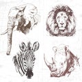 Animals around the World (Africa).