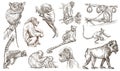 Animals around the World. Monkeys and Apes. An hand drawn full s