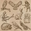 Animals around the World (part 17). Hand drawn vector pack. Royalty Free Stock Photo