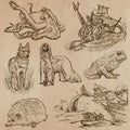 Animals around the World (part 18). Hand drawn vector pack. Royalty Free Stock Photo