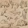 Animals around the World (part 22). Hand drawn vector pack. Royalty Free Stock Photo