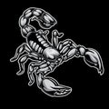 scorpions drawing on black background vector illustration