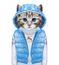 Animals as a human. Cat in down vest and sweater. Royalty Free Stock Photo