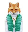 Animals as a human. Fox in down vest and sweater.