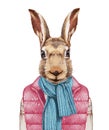 Animals as a human. Hare in down vest, sweater and scarf.